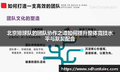 北京排球队的团队协作之道如何提升整体竞技水平与默契配合